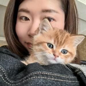 鹿鹿鹿